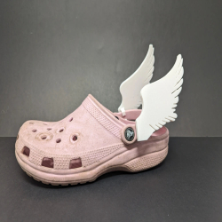 Angel Wings Charms...