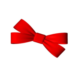 Cute Hair Bow Shoes Charms...