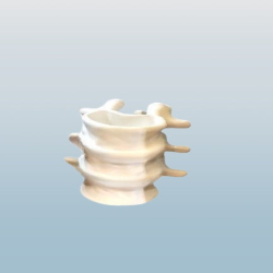 Vertebrae-Inspired Pen Holder - Unique Spine Design Desk Organizer for Halloween