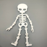 Flexi Halloween Skeleton Decoration / Toy - Anti Stress Toy for Halloween