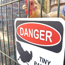Chicken Danger Sign for...