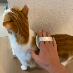2 pcs Purrfect Grooming Brush –Self-Cleaning Pet Deshedding Tool for Cats & Dogs