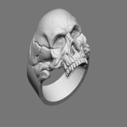 Skull Ring for Men Women,...